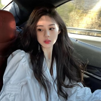 企鹅：极地追踪