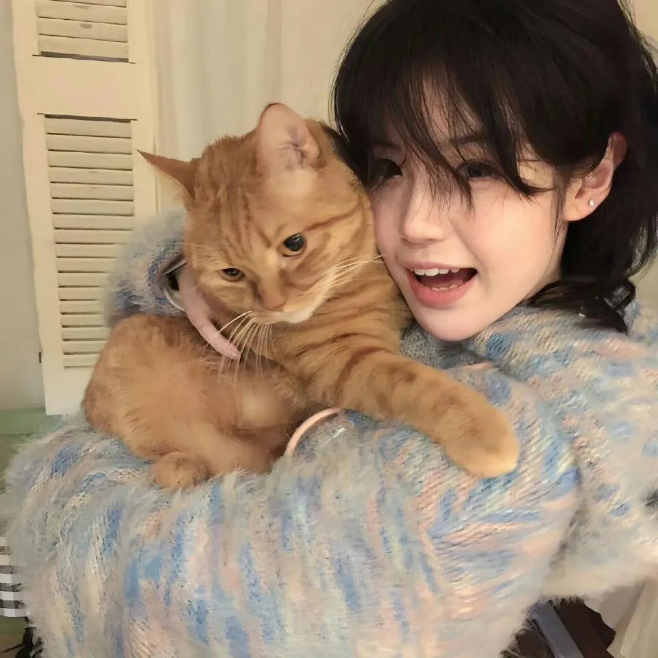 布努埃尔在神龟迷宫中